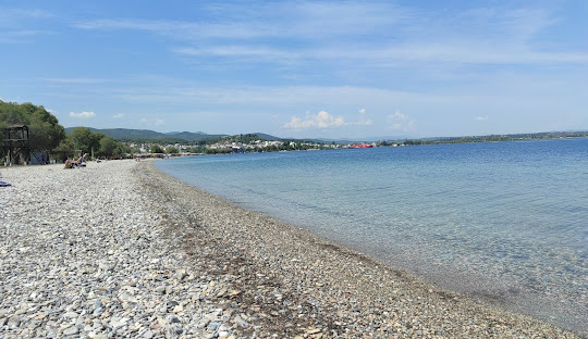 Συνάντηση Νοεμβρίου 2024 στον Ωρωπό!